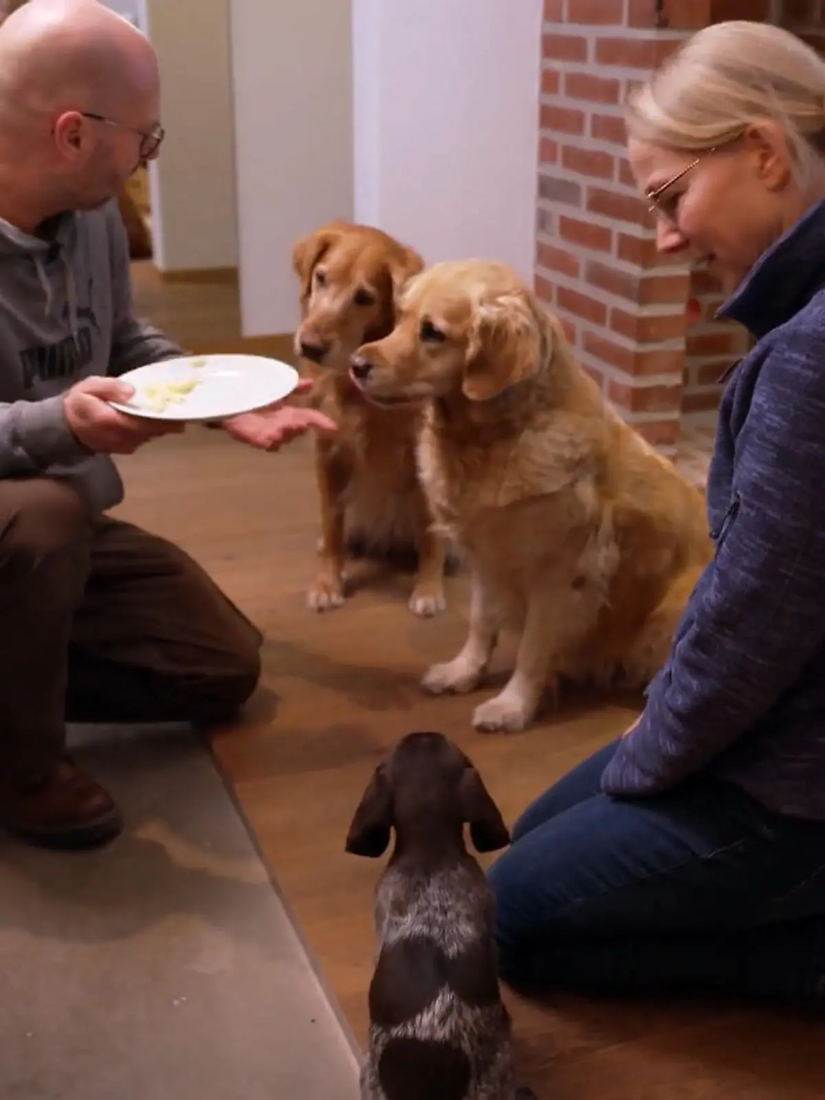 Bild zu: "Die erste Nacht ist geschafft: Können für Welpe Mara jetzt die Abenteuer beginnen?"