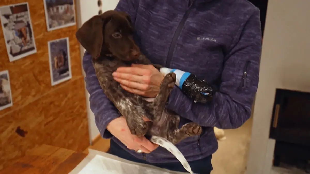 Mara lernt schnell dazu – doch wie schlimm war der Unfall mit der Haustür? Schreck am zweiten Tag!