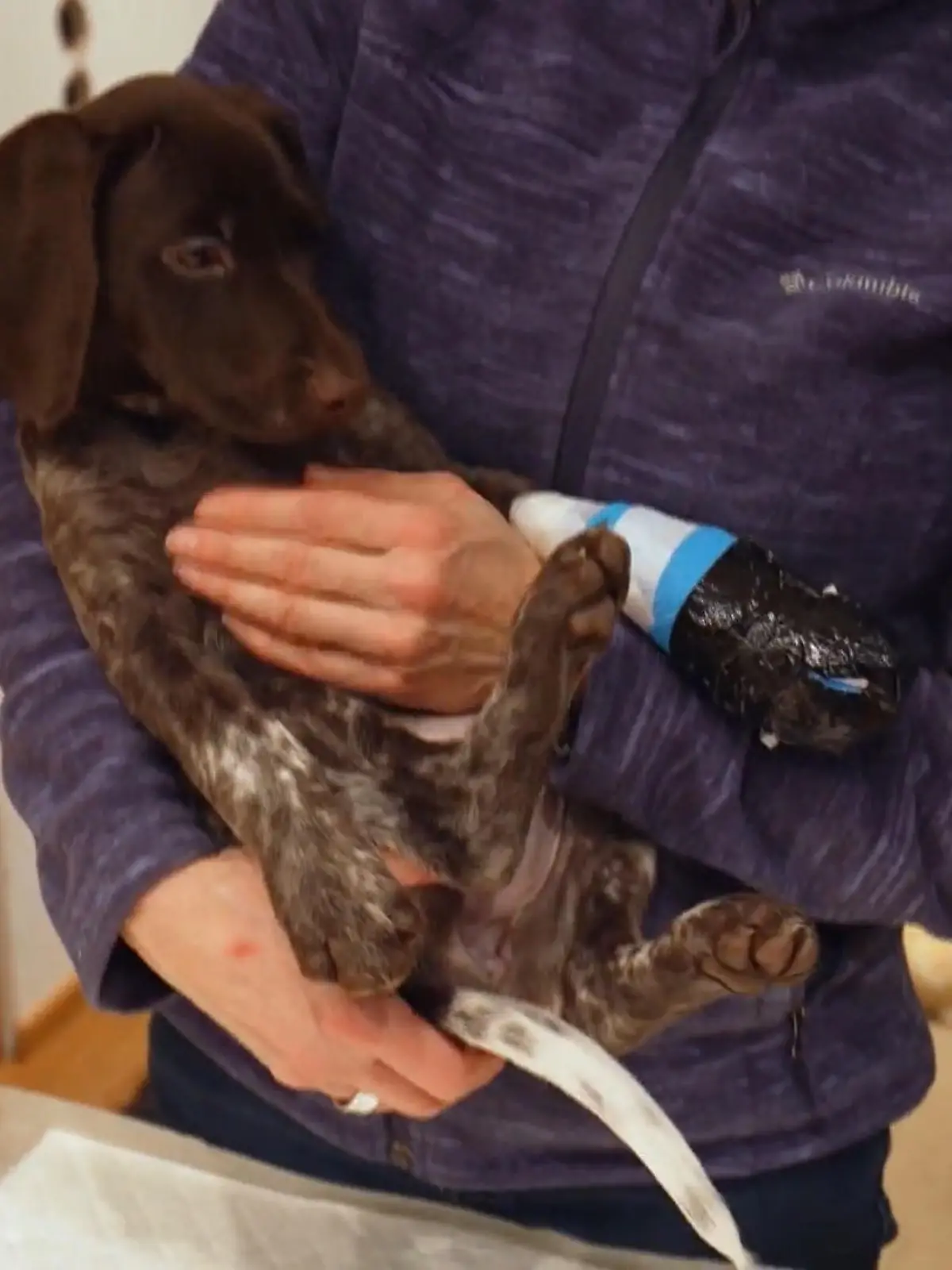 Bild zu: "Mara lernt schnell dazu – doch wie schlimm war der Unfall mit der Haustür?"