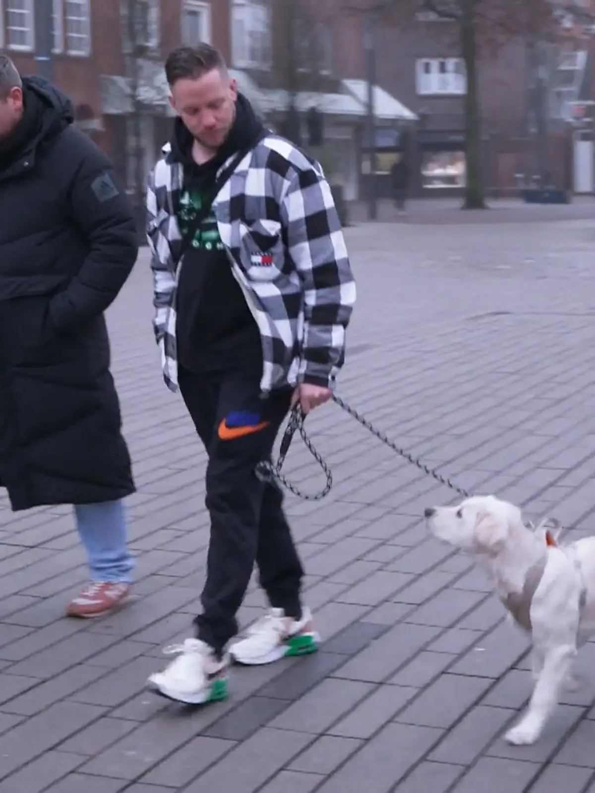 Bild zu: "Klappt es mit Leila inzwischen besser – oder bleiben Spaziergänge eine Baustelle?"