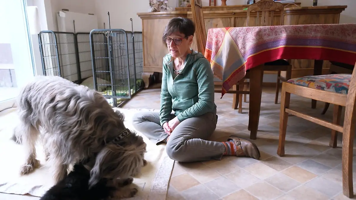 Zu Besuch bei Züchterin Alex: Was macht Katalanische Schäferhunde so besonders? Eigenständig und wachsam