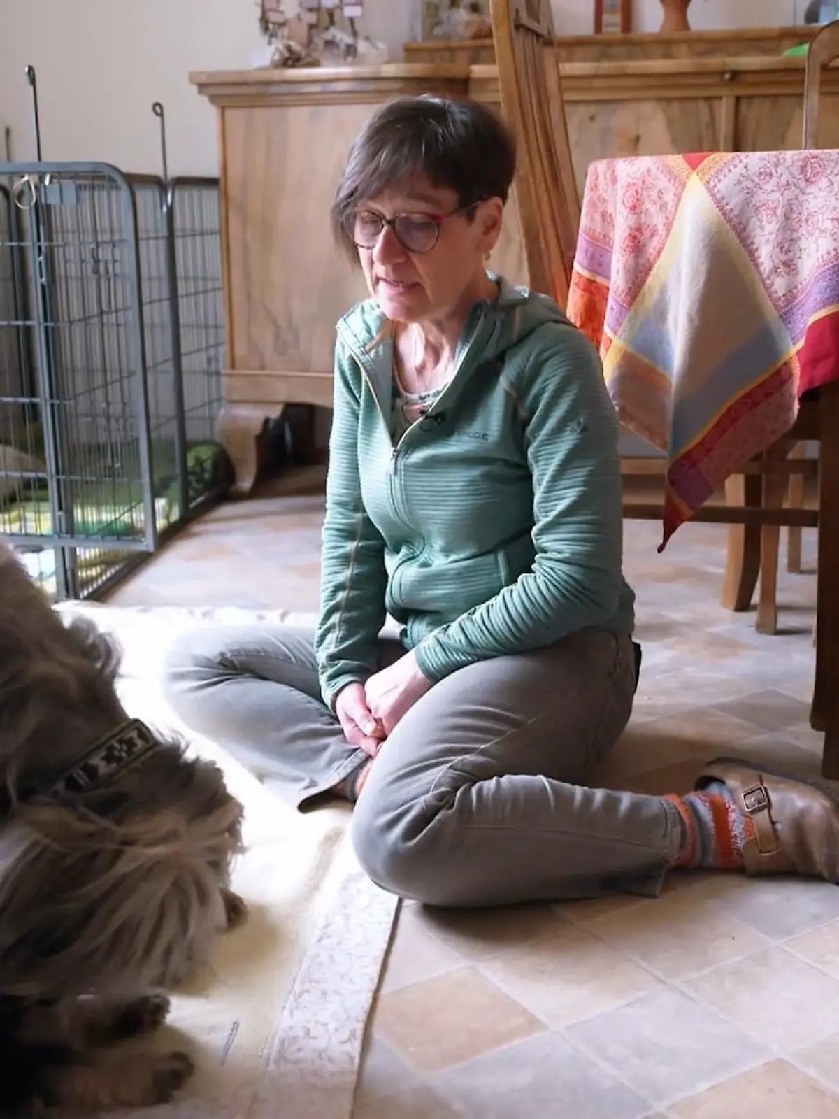 Bild zu: "Zu Besuch bei Züchterin Alex: Was macht Katalanische Schäferhunde so besonders?"