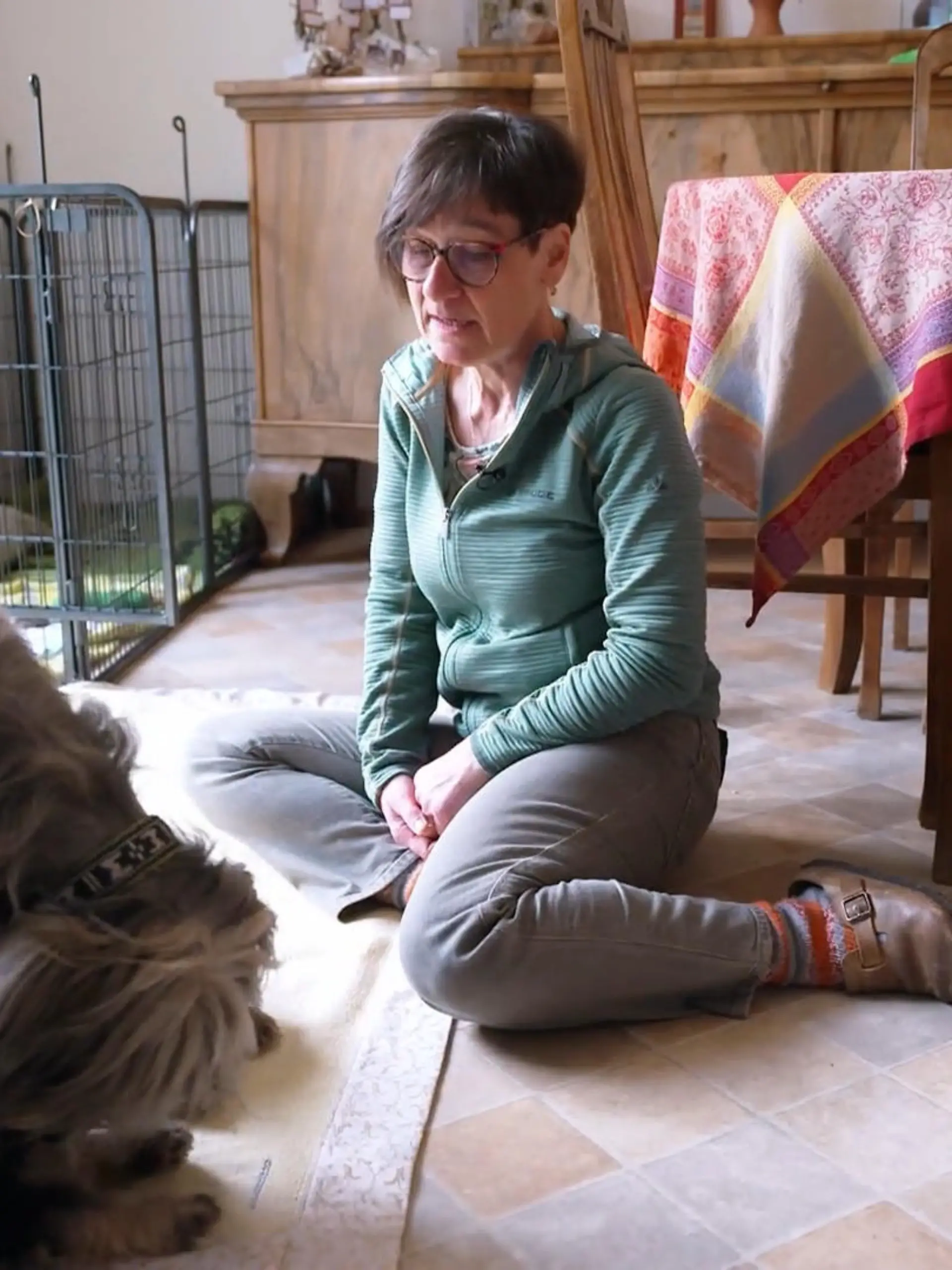 Bild zu: "Zu Besuch bei Züchterin Alex: Was macht Katalanische Schäferhunde so besonders?"