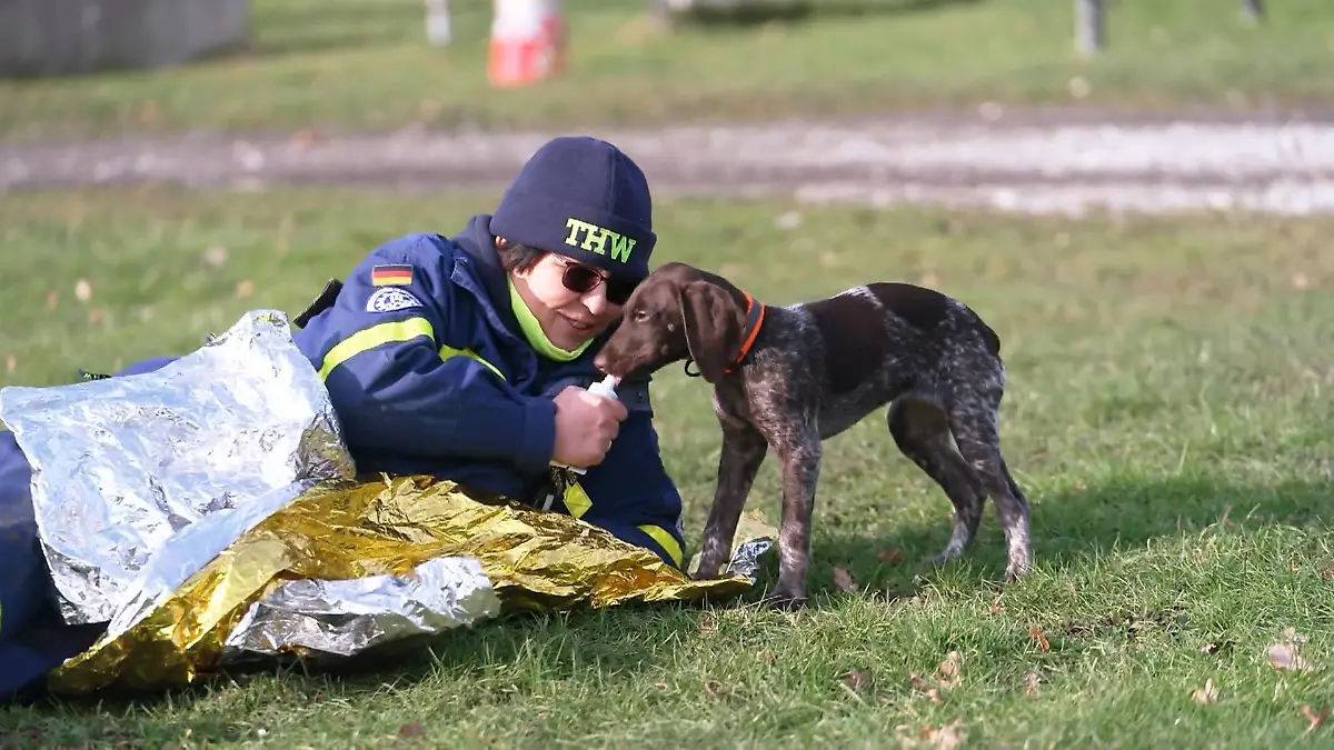 Nachwuchshund Mara im THW-Einsatztraining: Kann sie bald schon Menschenleben retten? Mara bei den Rettern