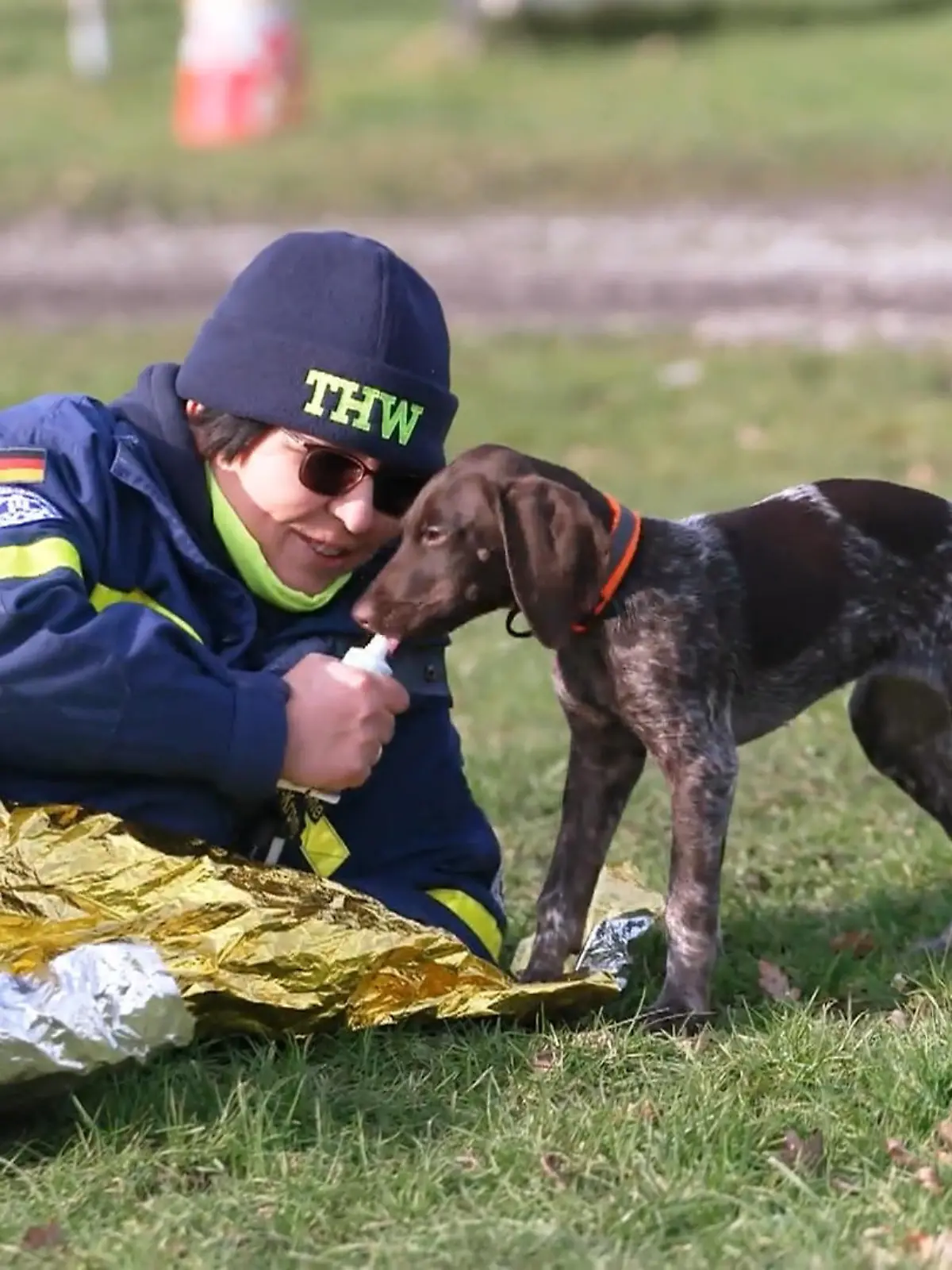 Bild zu: "Nachwuchshund Mara im THW-Einsatztraining: Kann sie bald schon Menschenleben retten?"