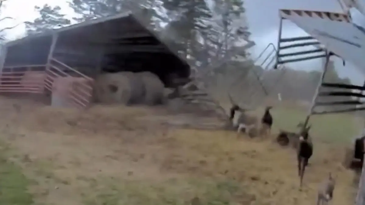 Panik im Stall! Mega-Sturm fegt plötzlich Dach weg Unwetter in den USA