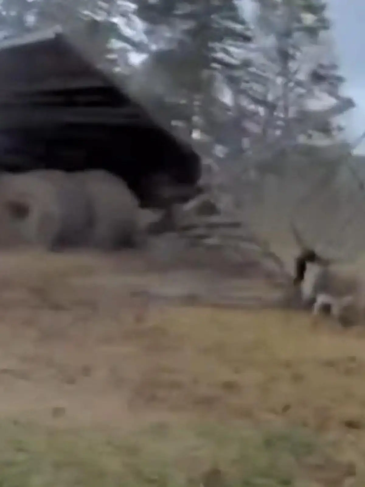 Bild zu: "Panik im Stall! Mega-Sturm fegt plötzlich Dach weg"