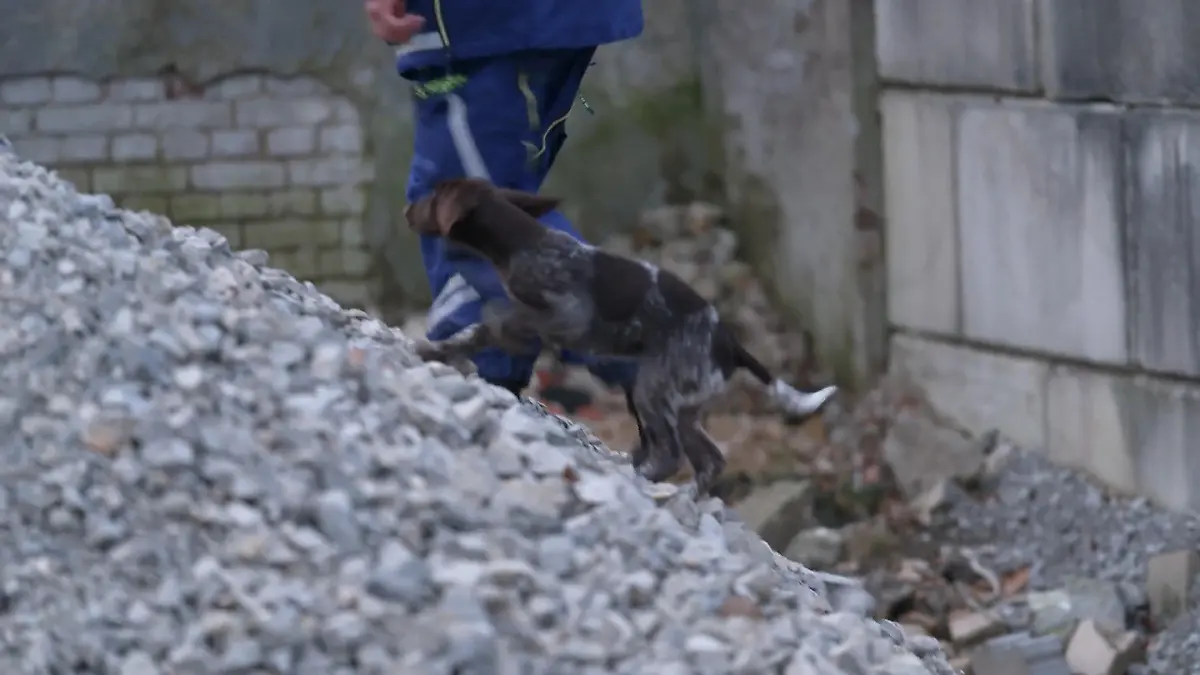 Wie schlägt sich die energiegeladene Mara beim THW? Mara auf dem Trainingsplatz