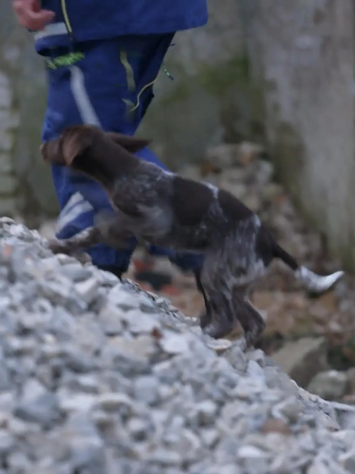 Bild zu: "Wie schlägt sich die energiegeladene Mara beim THW?"