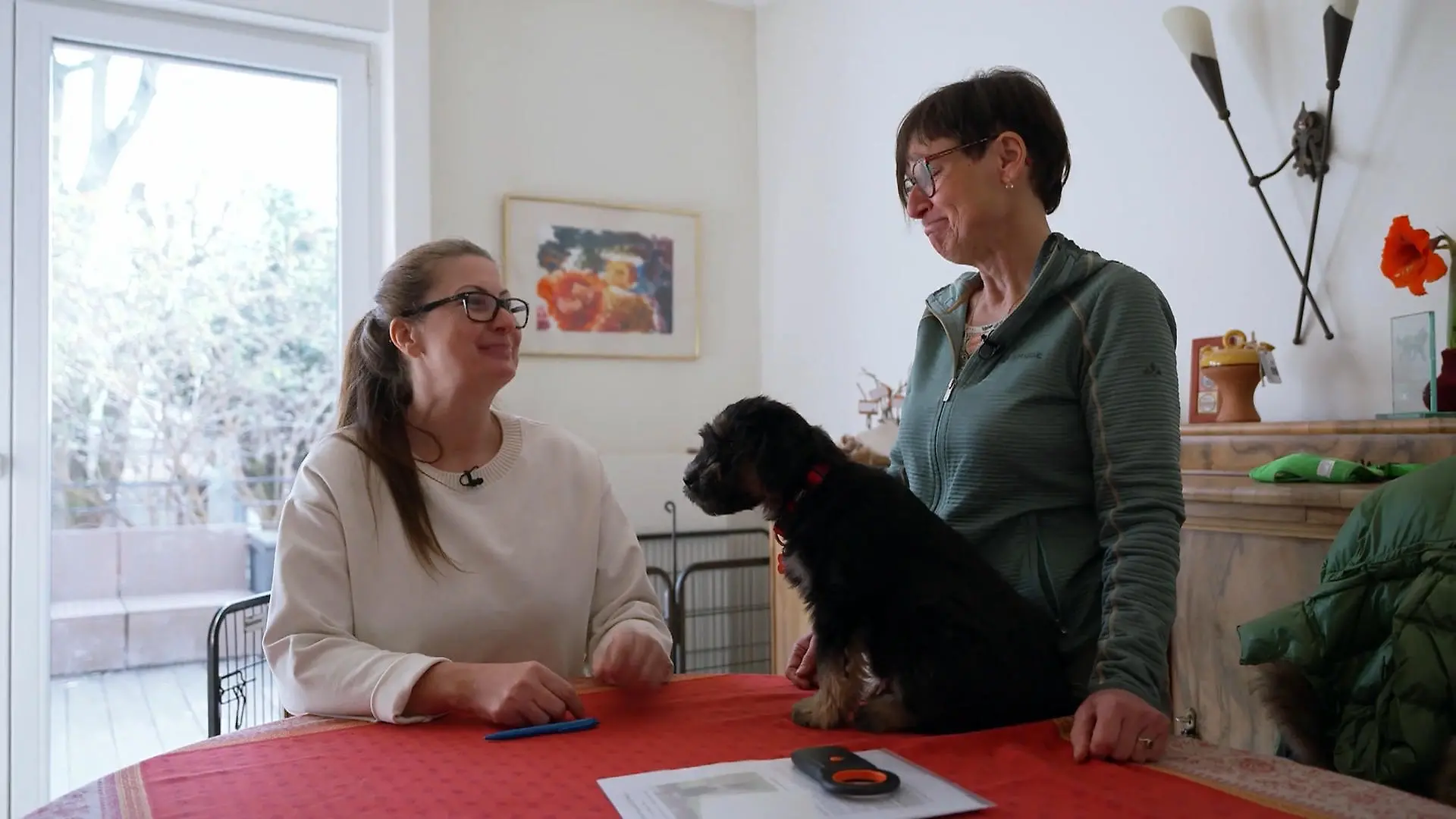 Nicole holt Nika ab: Wie startet das neue Familienmitglied in sein großes Abenteuer? Nika zieht heute ein