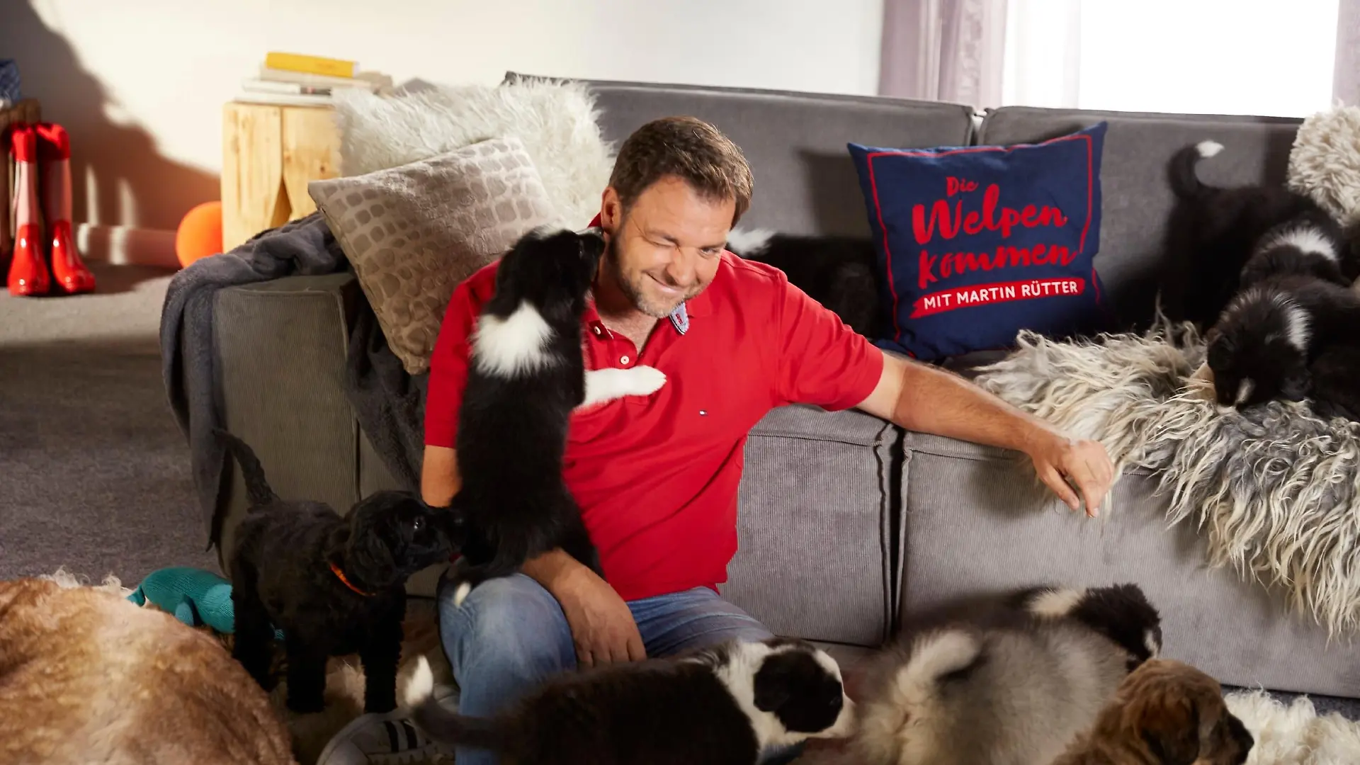 Die Welpen kommen: Hundetrainer Martin Rütter inmitten von Welpen