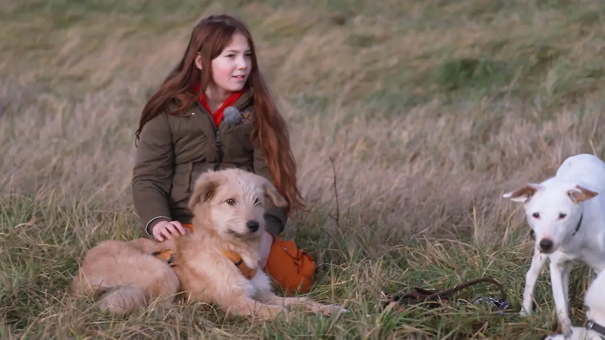 Seniorenhunde, neues Zuhause, neue Regeln: Wie gut ist Jabba inzwischen angekommen? Jabba im Rudelcheck