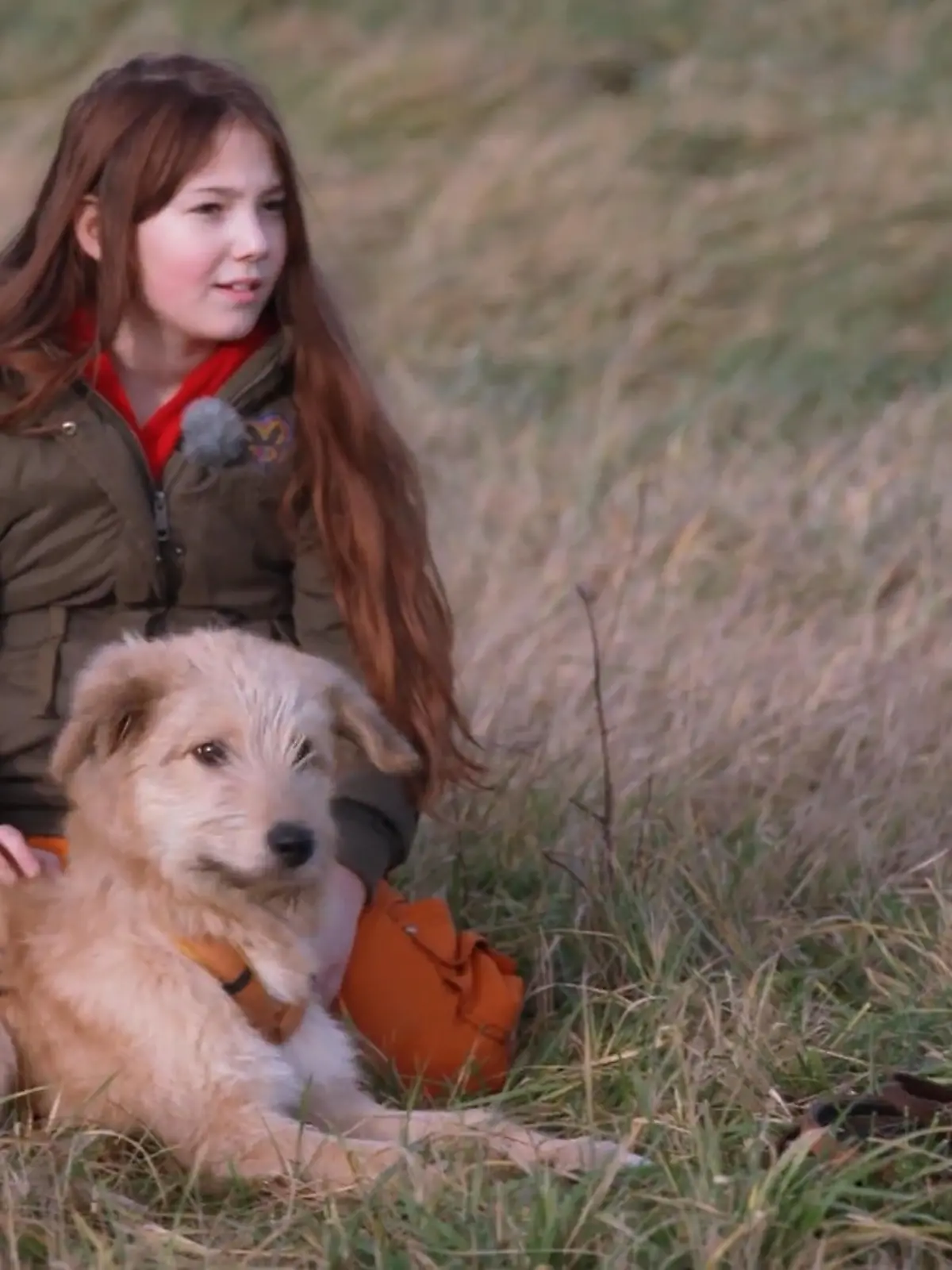 Bild zu: "Seniorenhunde, neues Zuhause, neue Regeln: Wie gut ist Jabba inzwischen angekommen?"