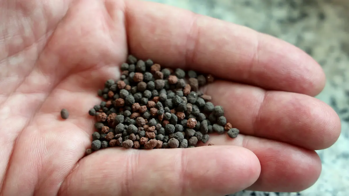 Morten Holpert, Geschäftsführer, zeigt Phosphor-Dünger aus Asche, die in der neuen 63 Millionen Euro teuren Klärschlammverbrennungsanlage des Unternehmens EEW erzeugt wurde. Die Anlage soll jährlich bis zu 160 000 Tonnen gepressten Klärschlamm verarbeiten. Dabei werden Strom und Wärmeenergie für das Fernwärmenetz erzeugt. Aus der Asche wird Phosphor recycelt, um Dünger herzustellen. (zu dpa: «Erste große Klärschlammverbrennungsanlage in MV steht vor Regelbetrieb») +++ dpa-Bildfunk +++