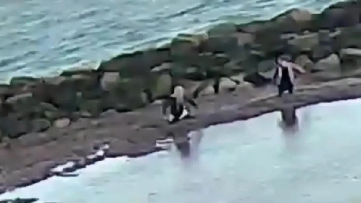 Kind steckt im Treibsand fest! Mutter will helfen – und sinkt auch! Plötzlich beide in Lebensgefahr