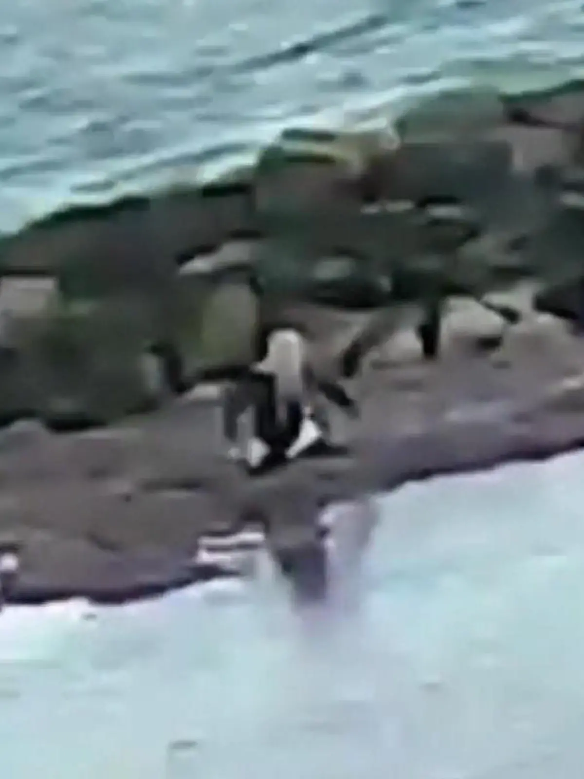 Bild zu: "Kind steckt im Treibsand fest! Mutter will helfen – und sinkt auch!"