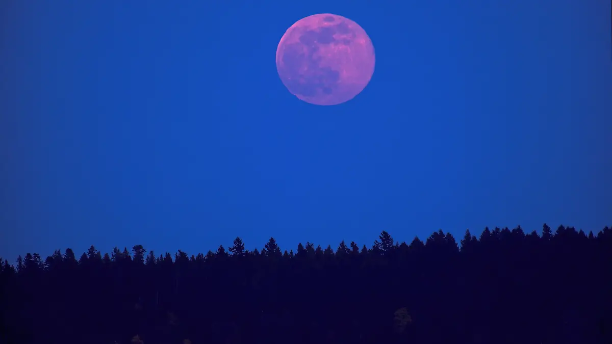 Der April-Vollmond wird auch „Pink Moon” genannt.
