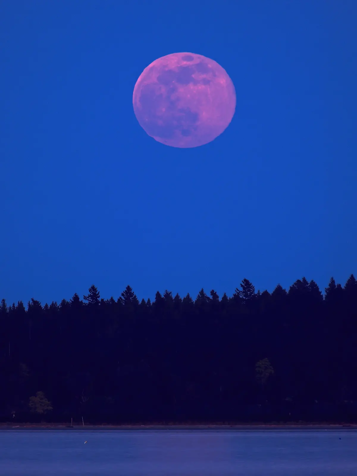 Der April-Vollmond wird auch „Pink Moon” genannt.