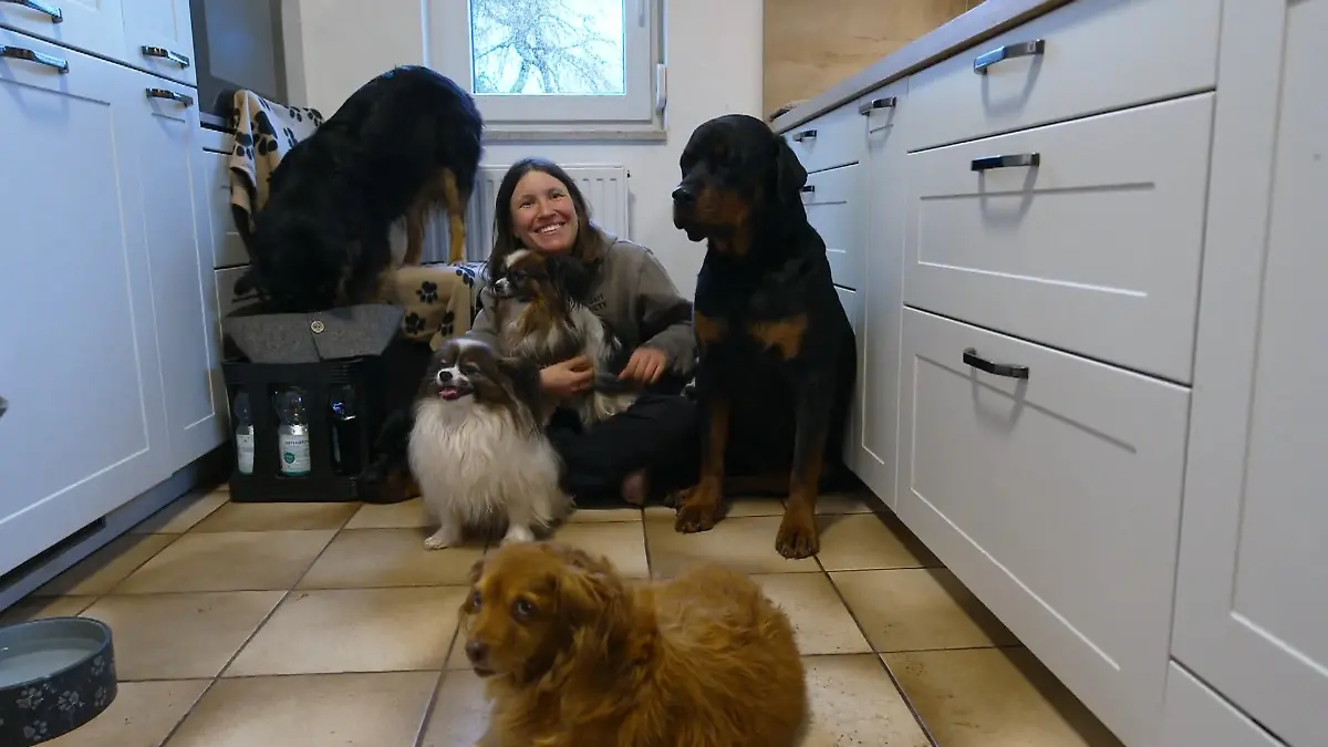 Senior Bruno zieht Larissa sofort in seinen Bann – doch wie reagiert ihr großes Rudel? Hoffnung für den Senior