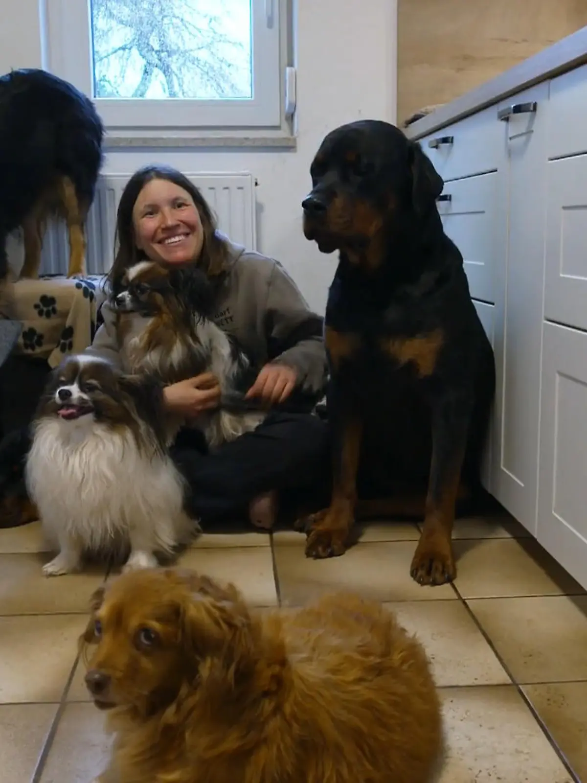 Bild zu: "Senior Bruno zieht Larissa sofort in seinen Bann – doch wie reagiert ihr großes Rudel?"