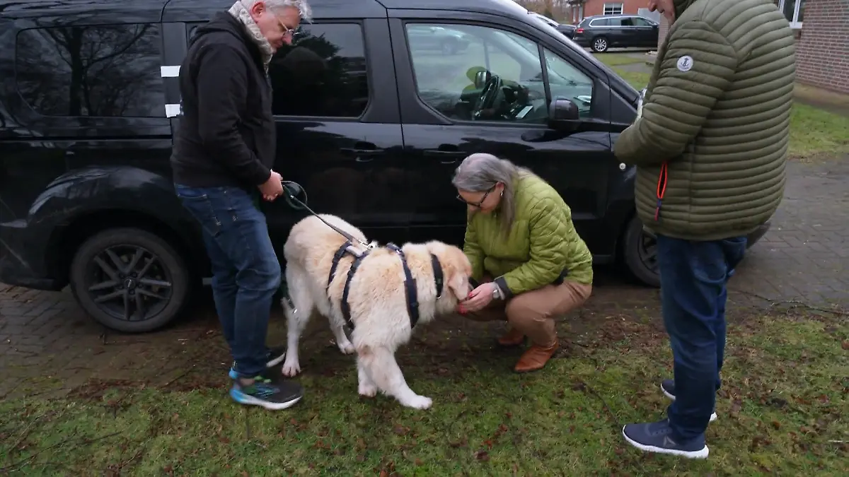 Für Willi beginnt ein neues Leben – aber findet er sofort seinen Platz im Rudel? Willi zieht ein