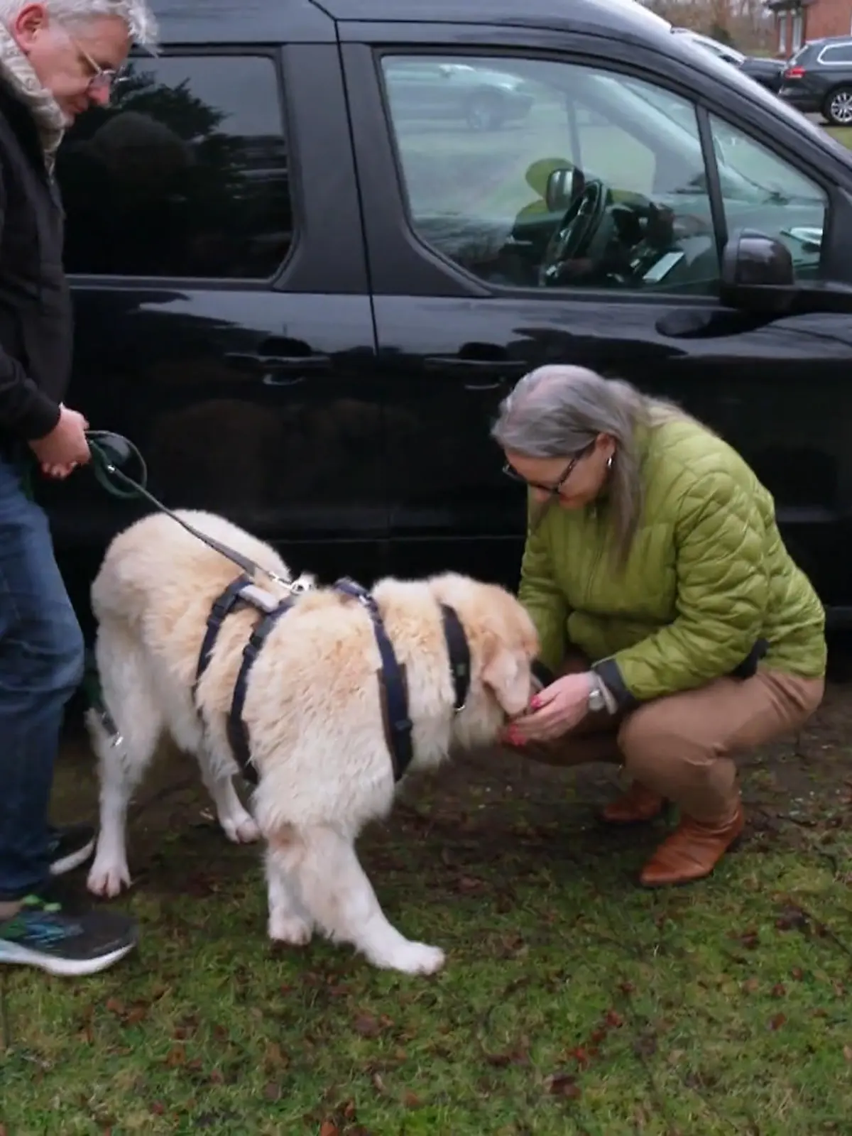 Bild zu: "Für Willi beginnt ein neues Leben – aber findet er sofort seinen Platz im Rudel?"