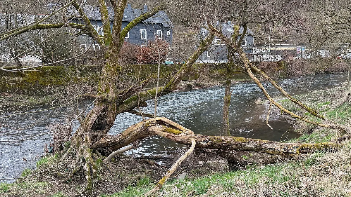 Betreuer haben das Kind aus dem Wasser gezogen.