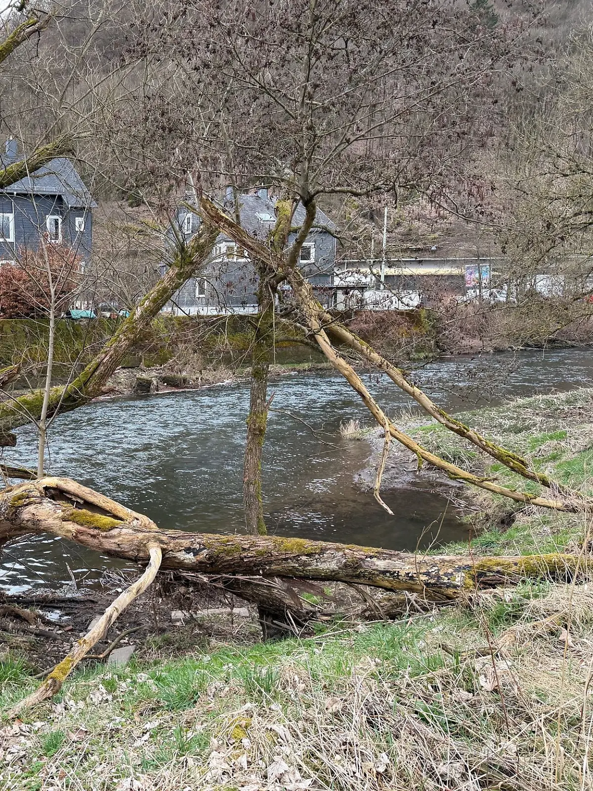 Bild zu: "Kinderkartenkind (3) stürzt beim Spielen in Fluss – kritischer Zustand"