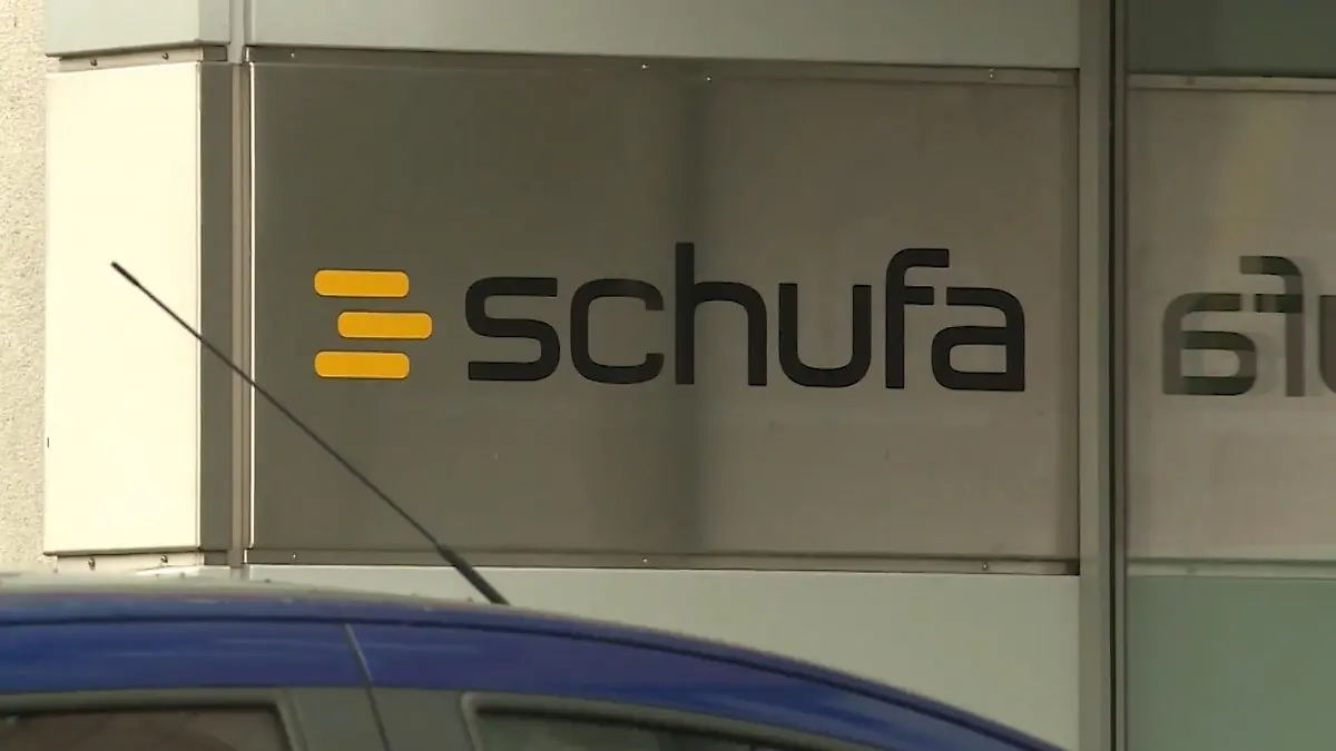 „Mythos Wald“ im Gasometer Oberhausen Neue Ausstellung