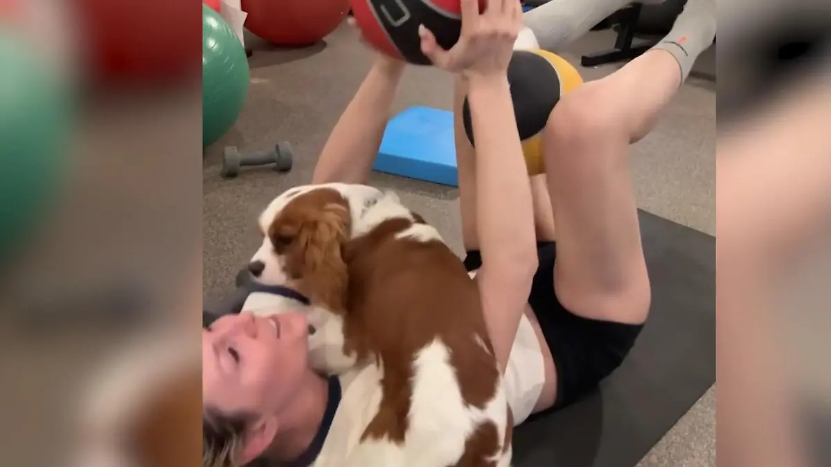 Lindsey Vonn verlor fast ihr Bein! So süß hilft ihr Hund Chance zurück ins Leben Ski-Star teilt Trainingsvideos