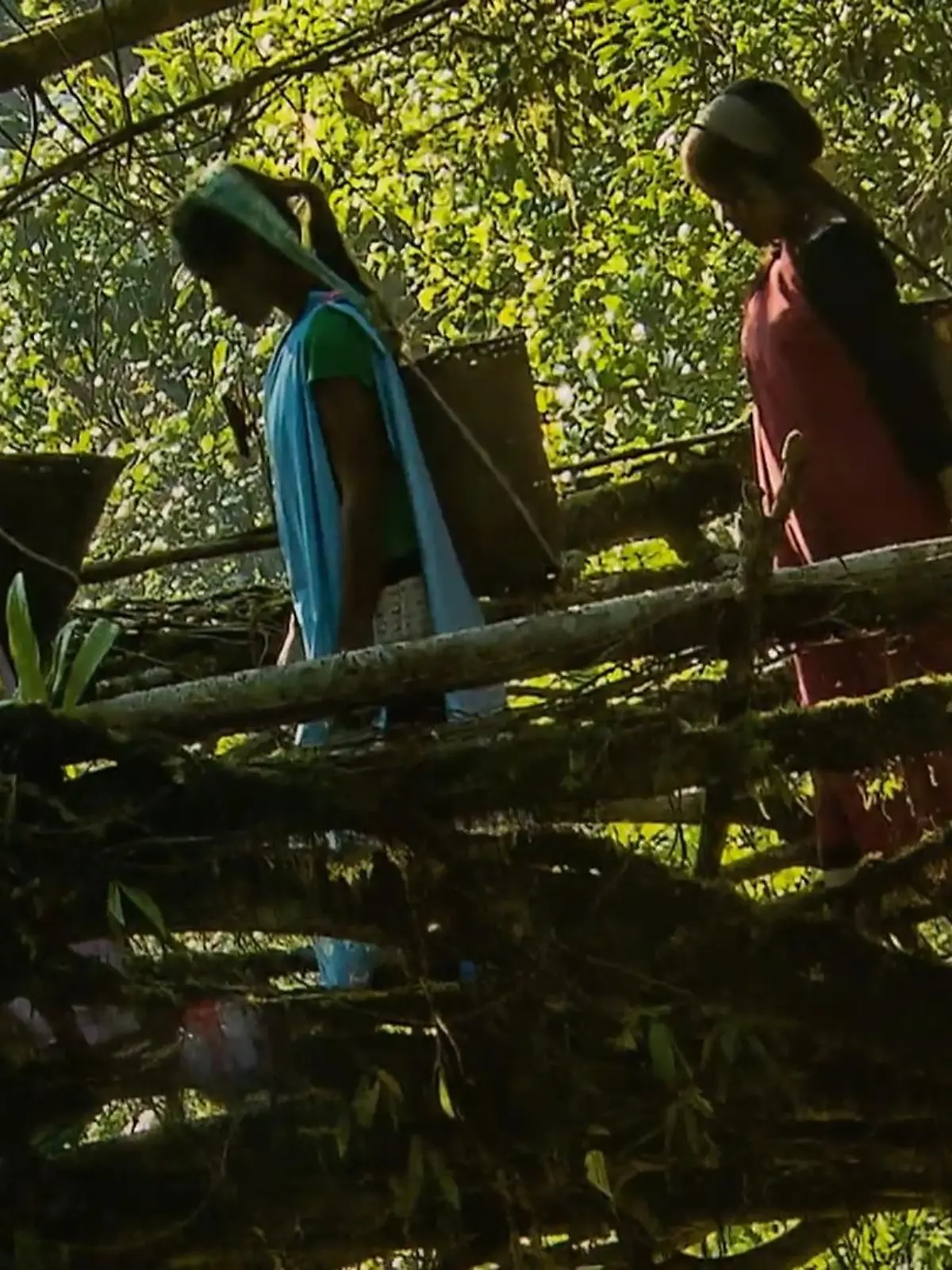 Bild zu: "„Mythos Wald“ im Gasometer Oberhausen"
