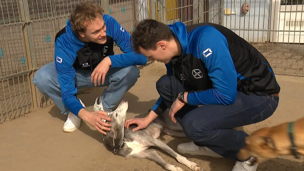 Handballer setzen Zeichen für den Tierschutz Sport trifft Herz