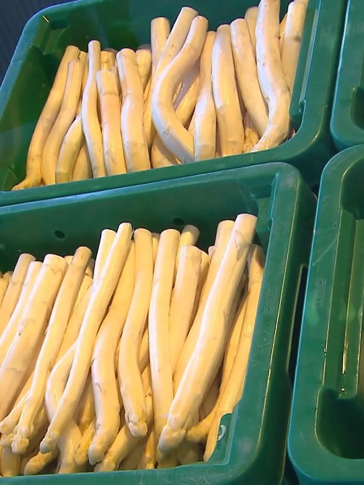 Bild zu: "WEST Spargel dir einen"