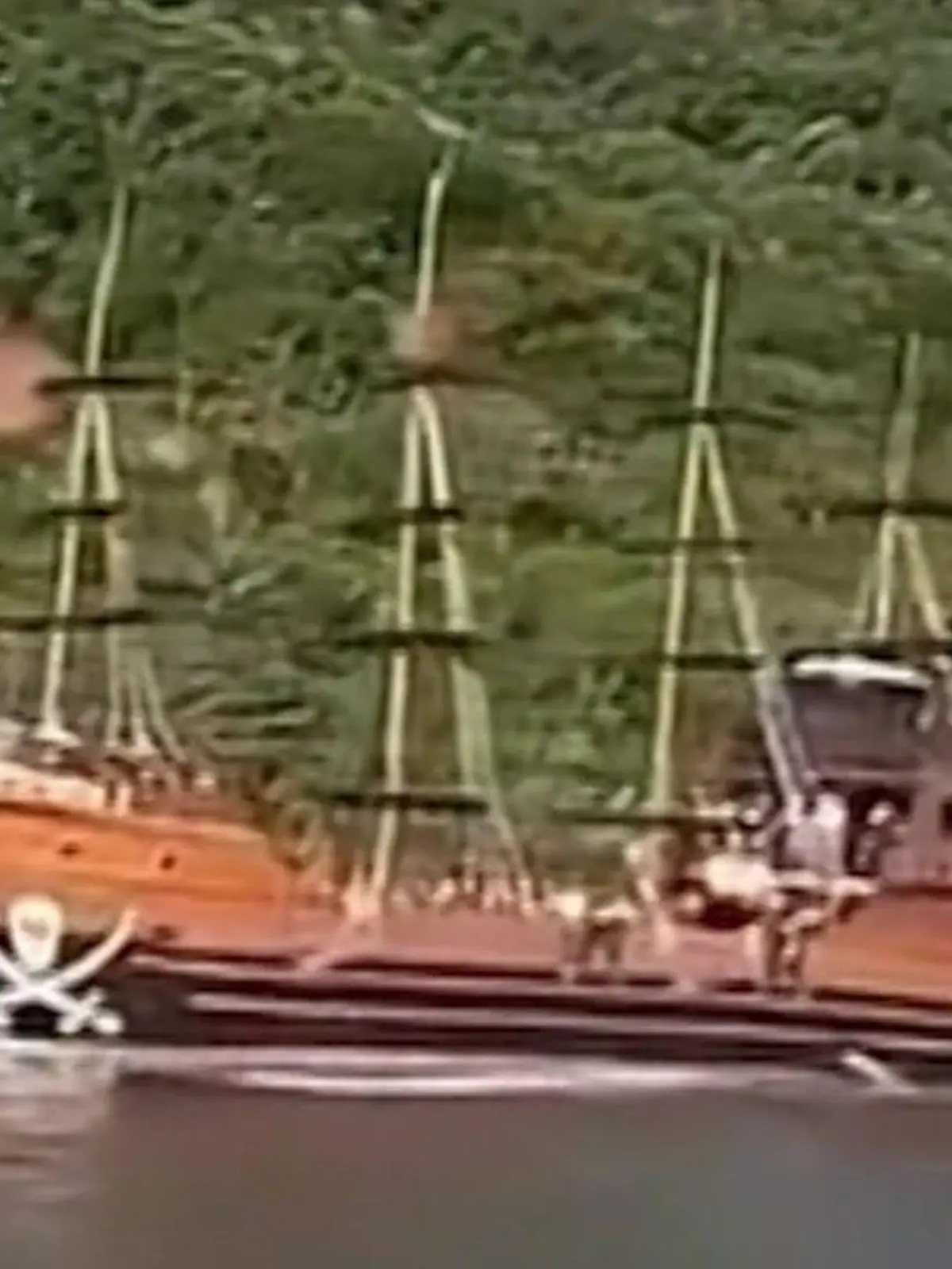 Bild zu: "Piratenschiff rammt Jetski – Turtel-Pärchen unter Wasser gedrückt! "