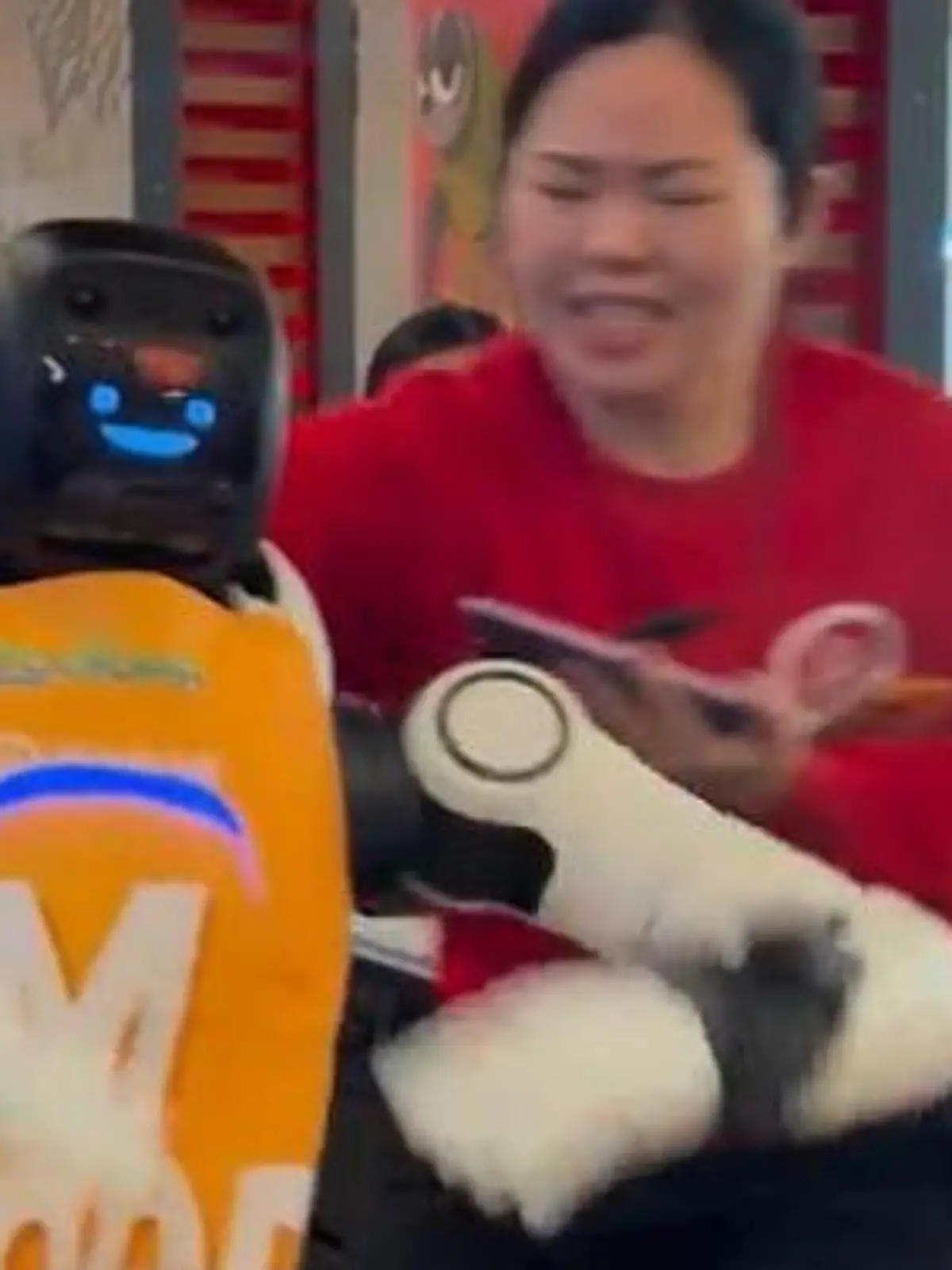 Bild zu: "Roboter dreht plötzlich völlig durch – Restaurant-Mitarbeiter müssen ihn bändigen!"