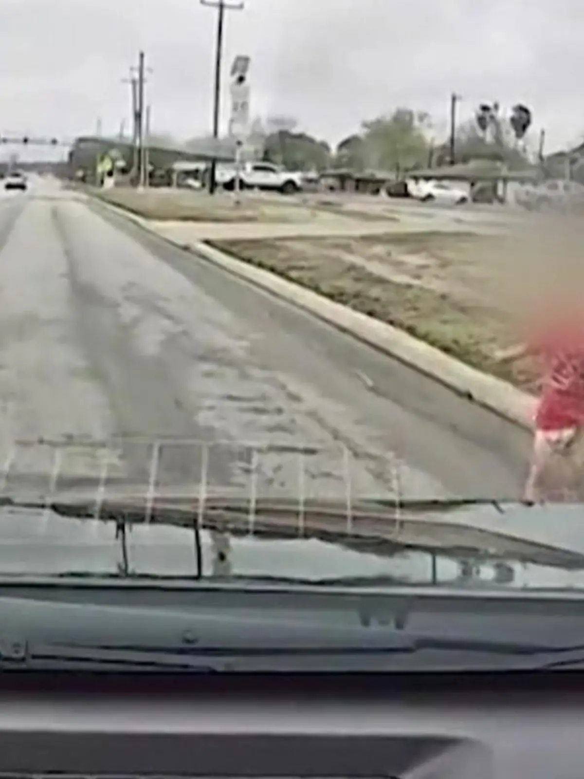 Bild zu: "Verwahrloster Junge rennt auf die Straße – direkt vor einer Autofahrerin!"