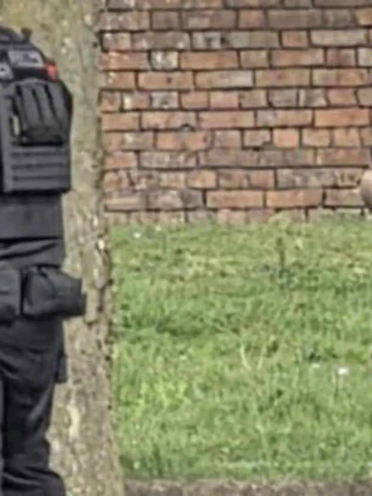 Bild zu: "Mann will nur Sport machen –  dann zielen Scharfschützen mit Pistolen auf ihn"