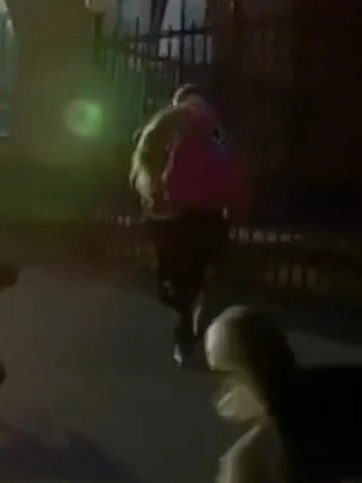 Bild zu: "Mädchen von Hunden angegriffen – Mann lenkt Auto dazwischen!"