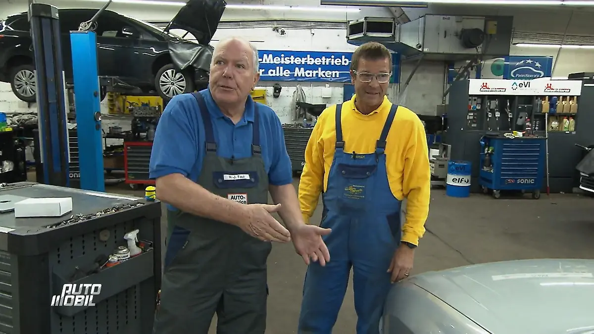 2.000 Kilometer für eine Diagnose Opel Signum aus Mallorca