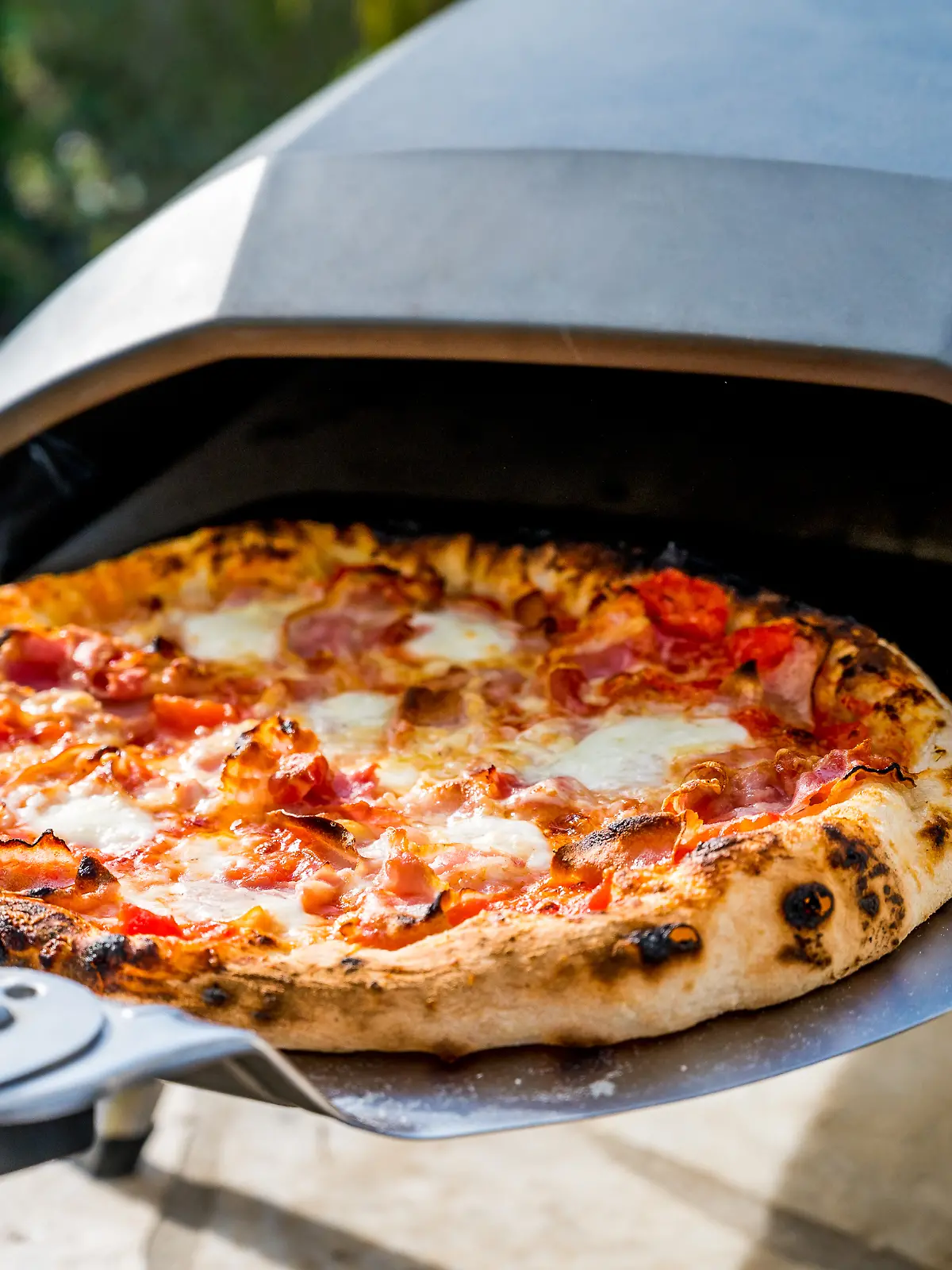 Elektrische Pizzaöfen im Test 
