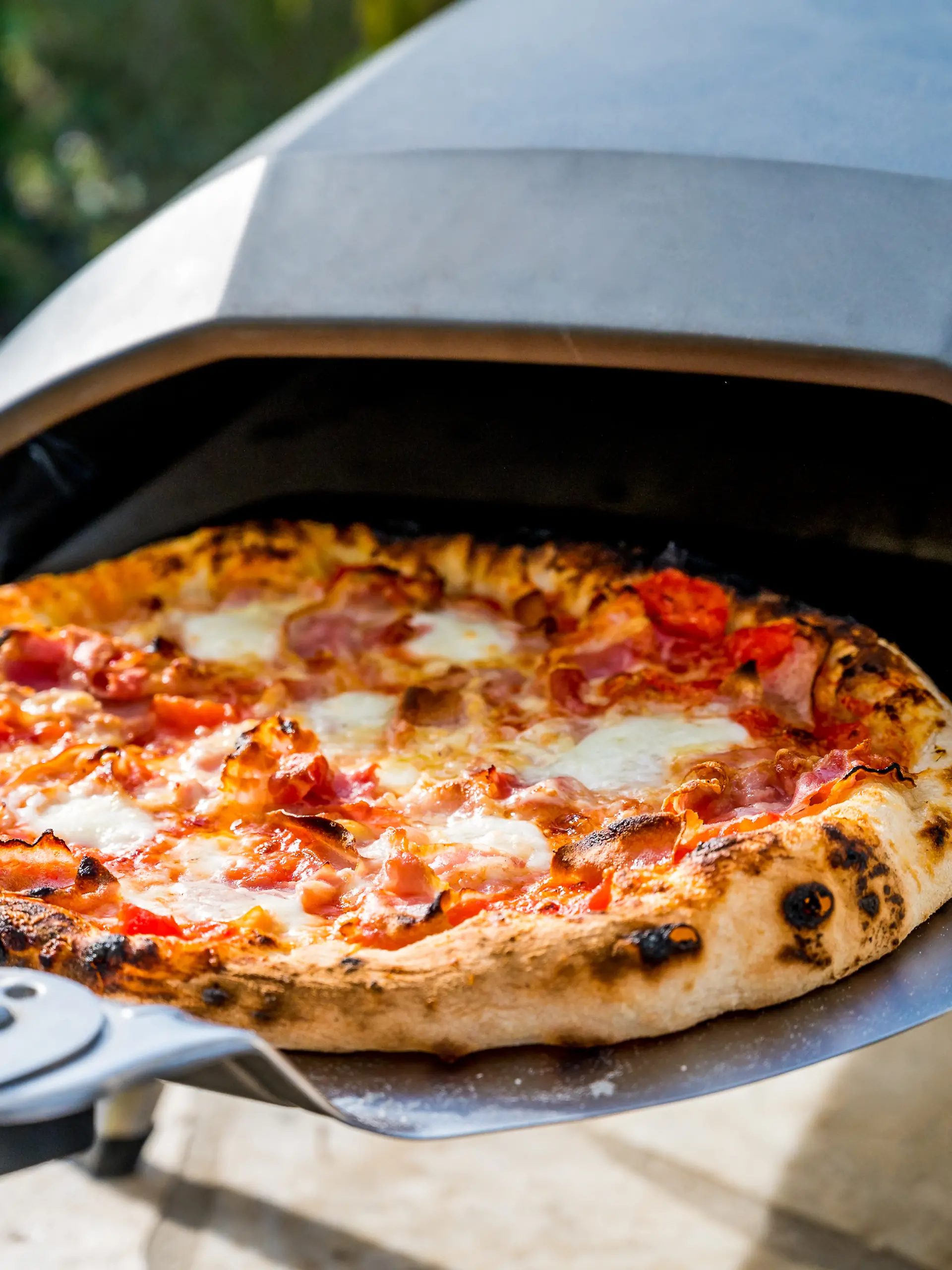 Elektrische Pizzaöfen im Test 
