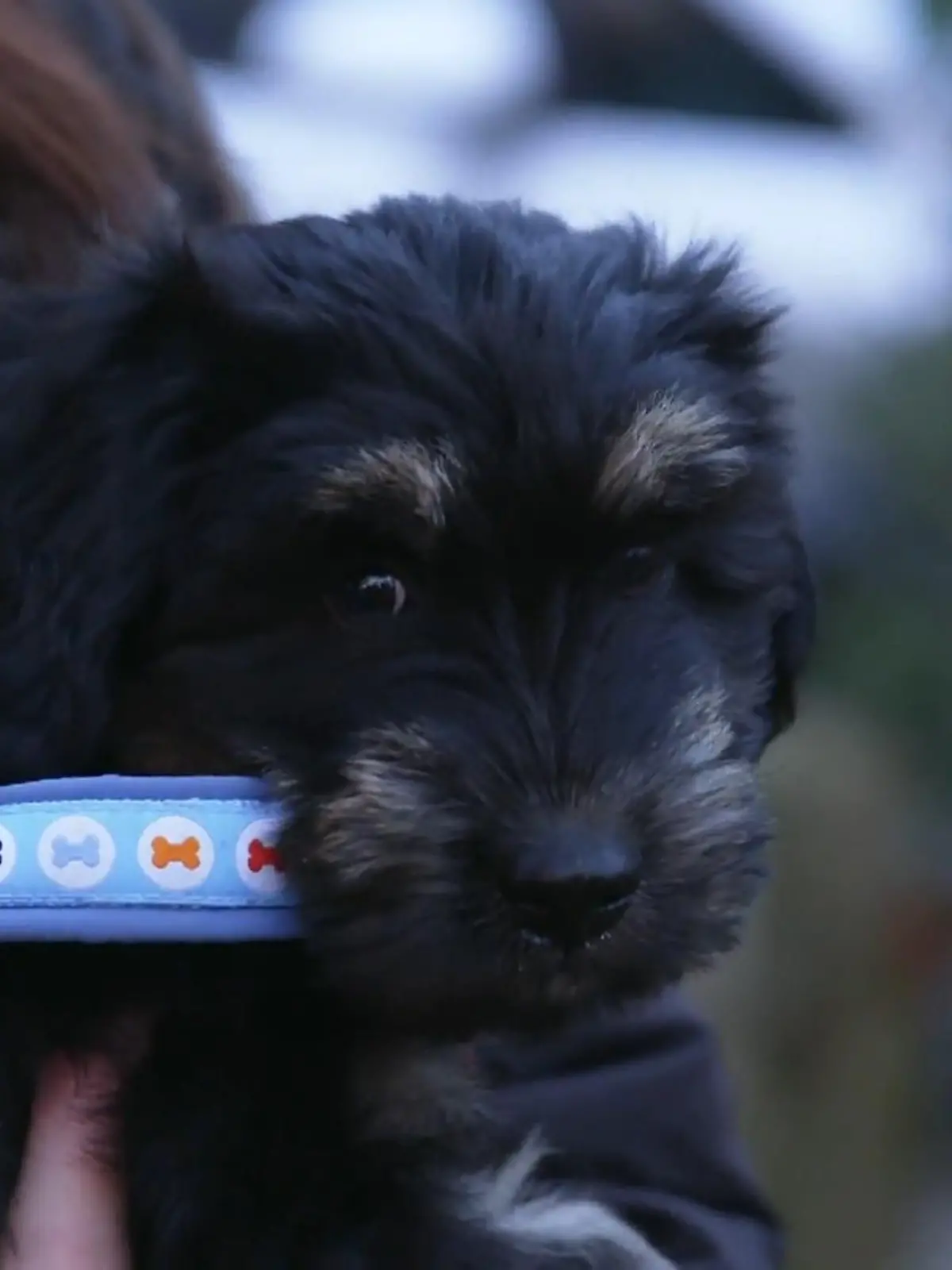 Bild zu: "Nikas erste Schritte vor die Tür"