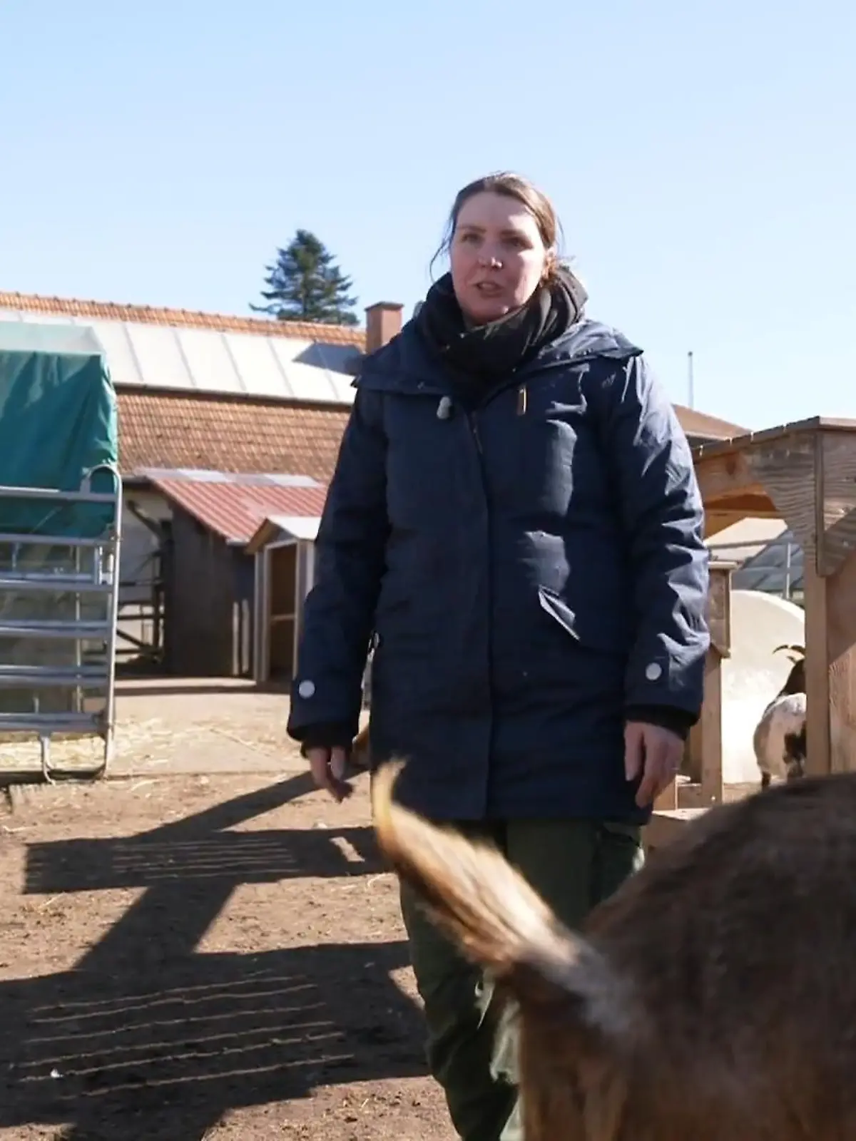 Bild zu: "In der Arche Oyten herrscht täglicher Dauereinsatz"