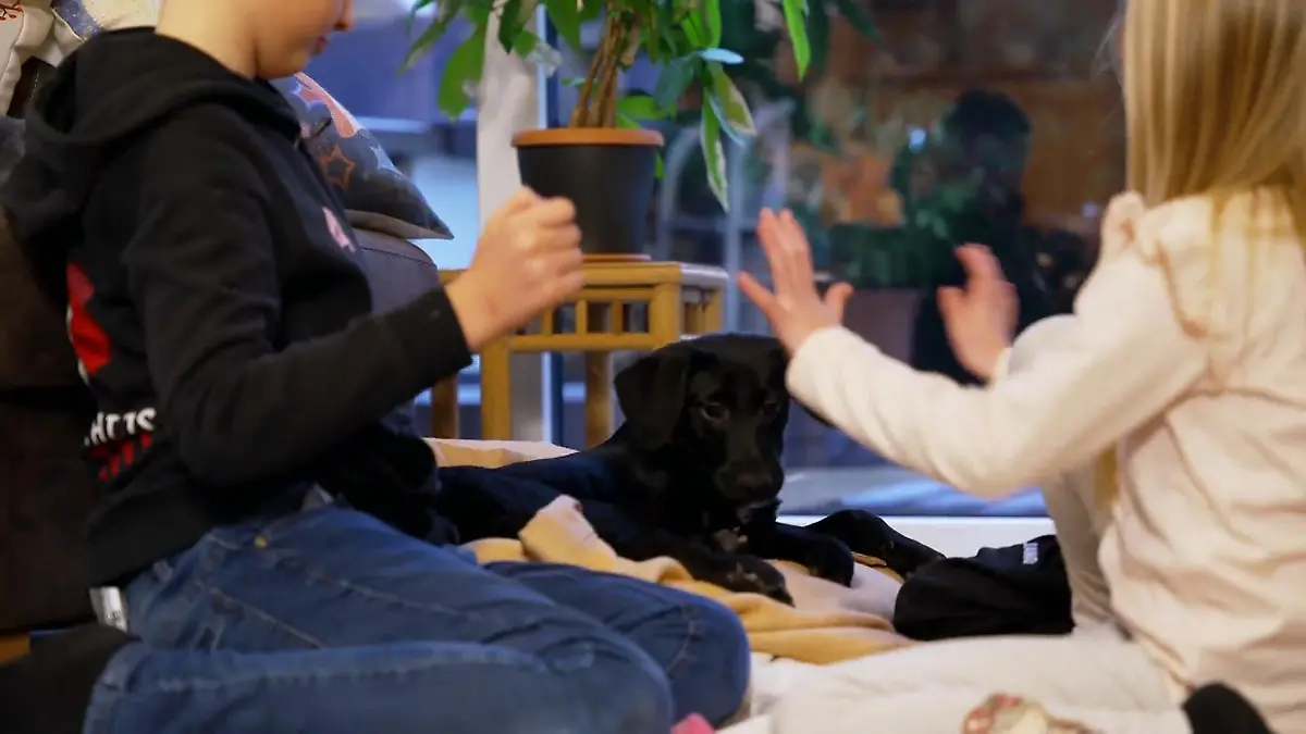 Lilly trifft ihre größten Fans Action pur