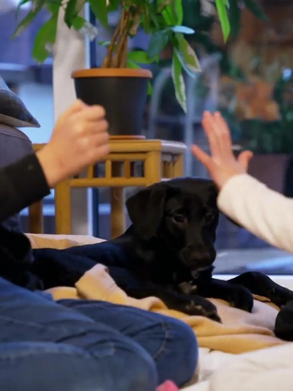 Bild zu: "Lilly trifft ihre größten Fans"