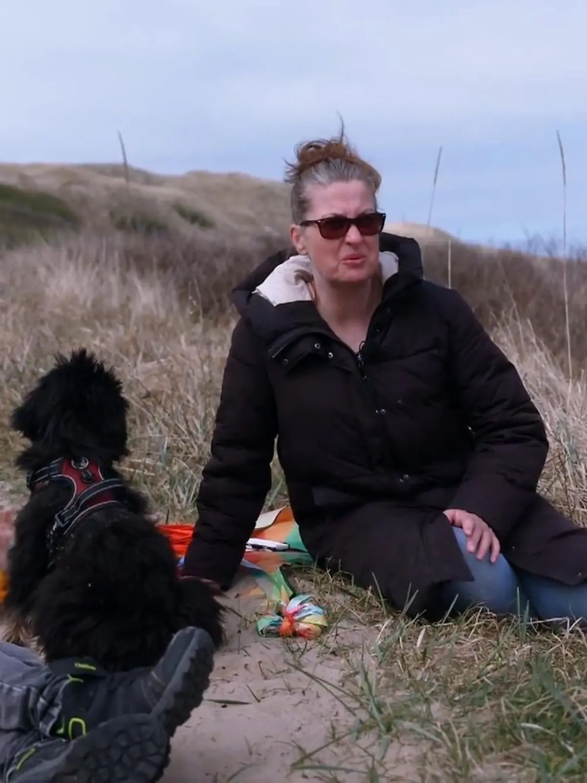 Bild zu: "Nika und die Valentins erobern Dänemarks Küste"