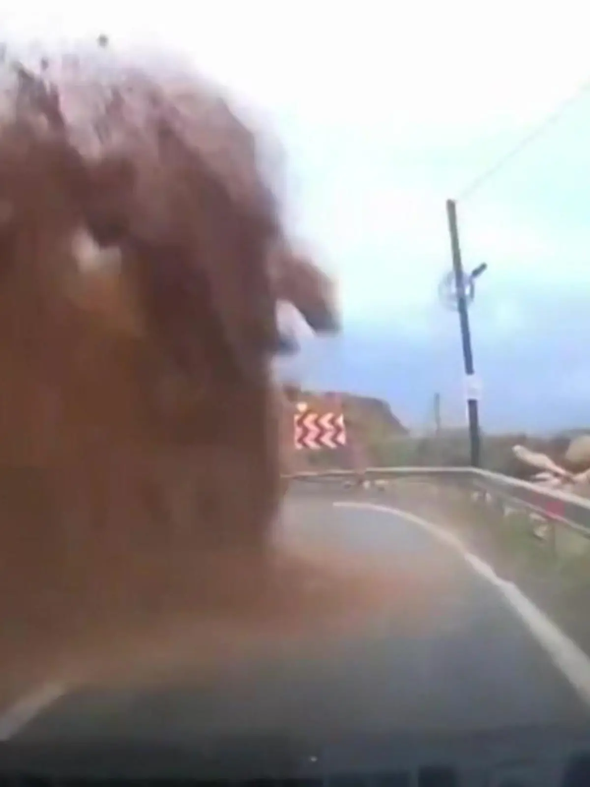 Bild zu: "Er kann nicht mehr ausweichen! Autofahrer von plötzlichem Erdrutsch begraben"