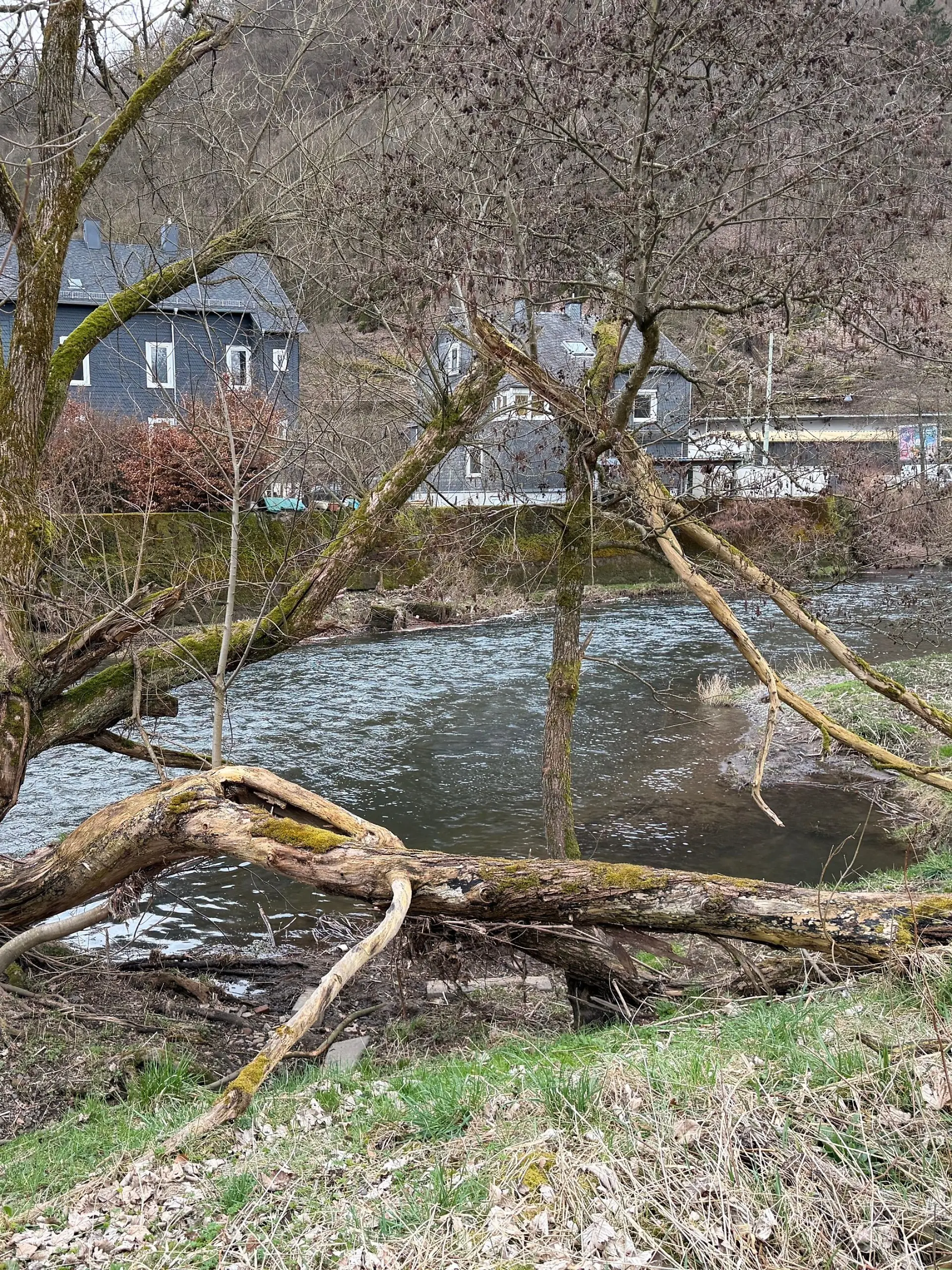 Betreuer haben das Kind aus dem Wasser der Sieg gezogen.