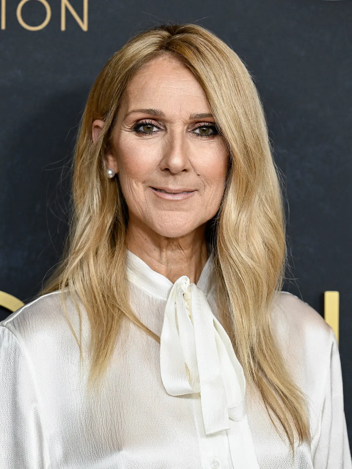 Kommt sie wirklich zurück? Celine Dion soll im Herbst in Paris auftreten