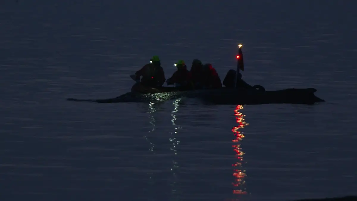 Rettungsversuche für Wal scheitern vor Timmendorfer Strand Die Zeit rennt